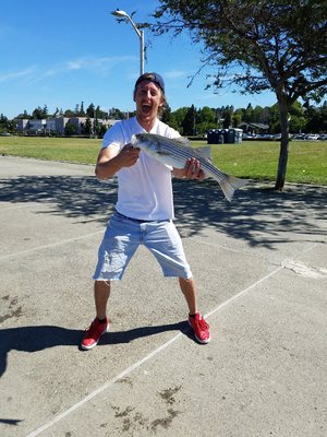 norm's bait & tackle