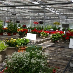 Dickinson Farm & Greenhouse
