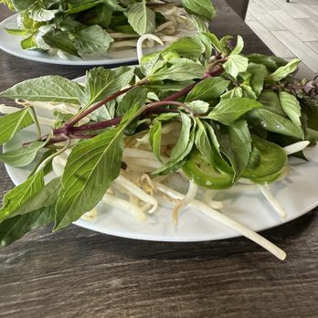 Pho'Tastic - Fresh herbs and veggies for the Pho - Vietnamese Near Me - Fallbrook, California