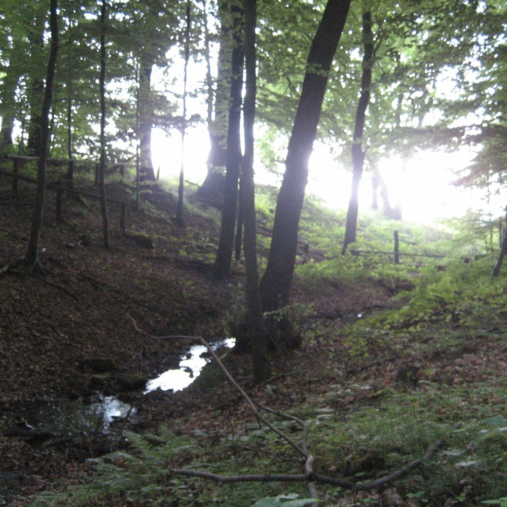 Der Solling - Active Life Near Me