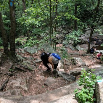 Schooley's Mountain Park Lodge - Climbing the rocks - Parks Near Me - Washington Township, New Jersey