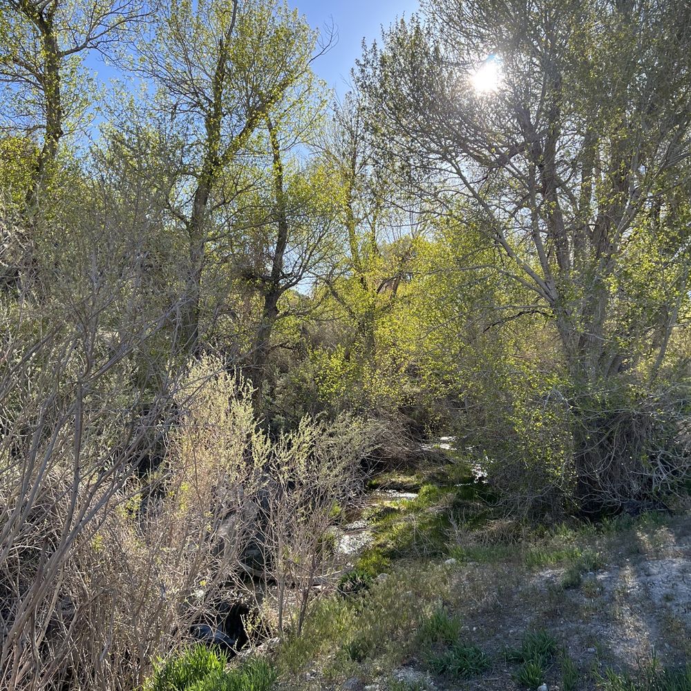 Hidden Canyon Retreat - Vacation Rentals Near Me - Baker, Nevada Hidden Canyon Retreat - Vacation Rentals Near Me - Baker, Nevada