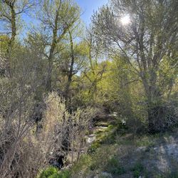 Hidden Canyon Retreat