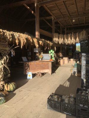 Benedikt Dairy by null