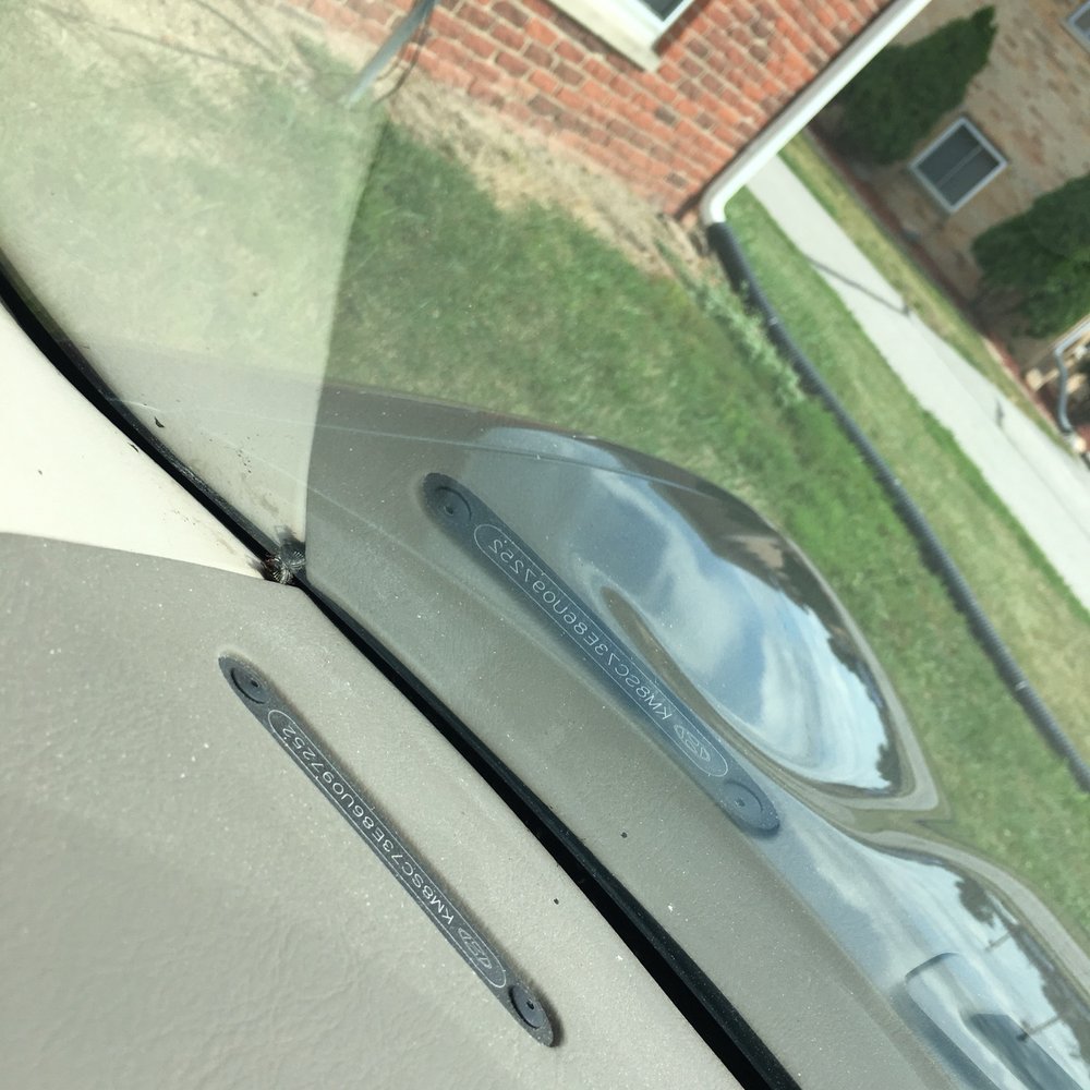 Ankeny Auto Spa - Dead bug inside windshield - Car Wash Near Me - Ankeny, Iowa