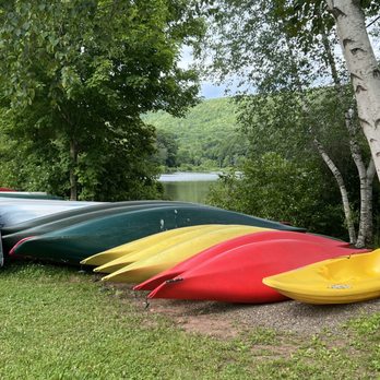 Susan's Pleasant Pheasant Farm - Kayak and paddle! - Bed & Breakfast Near Me - Halcottsville, New York