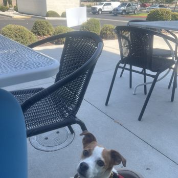TrueCraft Burger - Dog friendly! - Burgers Near Me - Fresno, California TrueCraft Burger - Dog friendly! - Burgers Near Me - Fresno, California