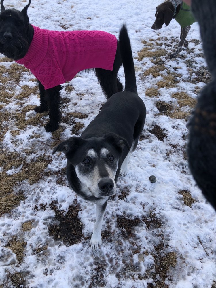 EDDIEANDBARKUS Updated October 2024 12 Photos & 23 Reviews 3060