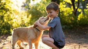 Caring Companions - pet boarding facility in Eugene, OR