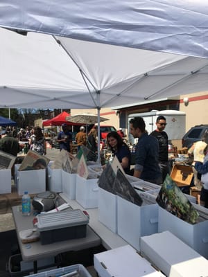 Beacon Flea Market by null