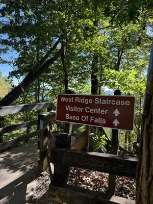 Amicalola Falls State Park by null