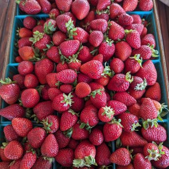 Baba Bazaar Fruitstand & Bakery - Farmers Market Near Me - Ripon, California Baba Bazaar Fruitstand & Bakery - Farmers Market Near Me - Ripon, California