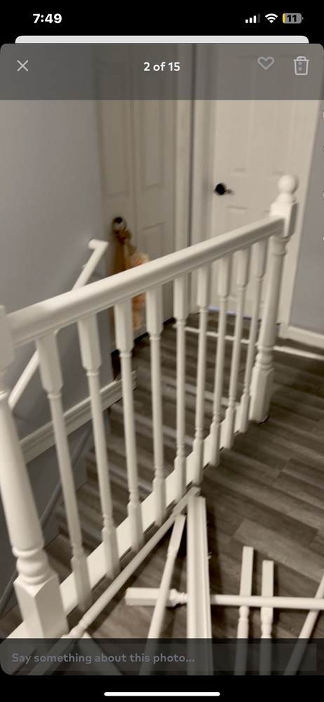 Slide of Rhinos Renovation and Demo