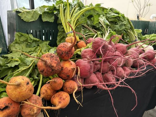 Brentwood Farmers Market by null