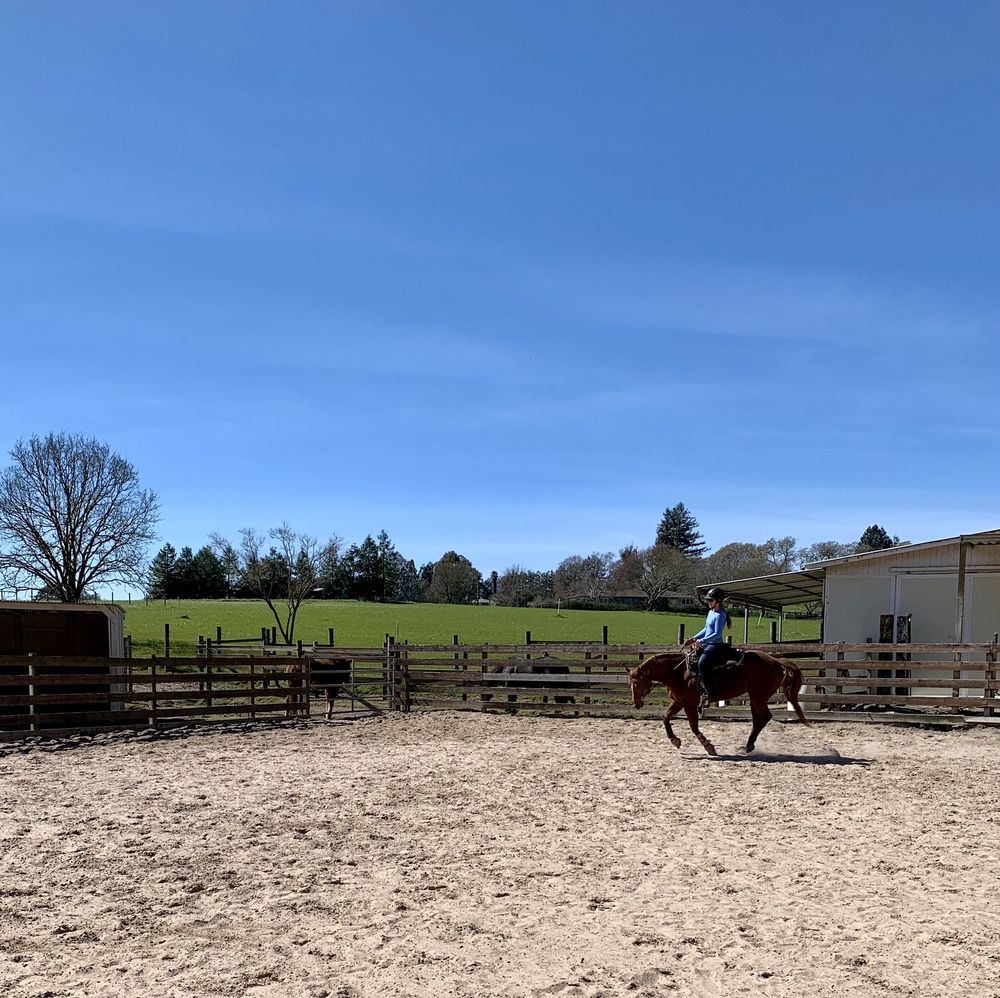 Solo Acres Boarding Stable - equestrian in Sebastopol, CA
