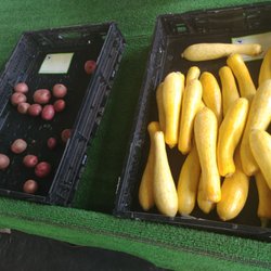 Barefoot Farms