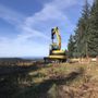 Photo of Rock Solid Pile