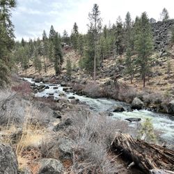 Riley Ranch Nature Reserve - Riley Ranch - canyon loop along the Deschutes