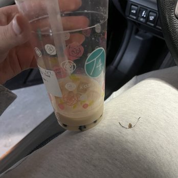 T4 Tea For One - Bubble Tea Near Me - Walnut Creek, California T4 Tea For One - Bubble Tea Near Me - Walnut Creek, California