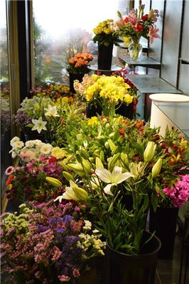 Vernon Flower Shop by null