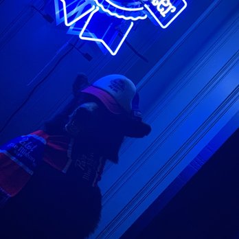Righteous Tap House - The Bouncer ,Mr Bear who watches the bar - Bars Near Me - West Chester, Pennsylvania Righteous Tap House - The Bouncer ,Mr Bear who watches the bar - Bars Near Me - West Chester, Pennsylvania