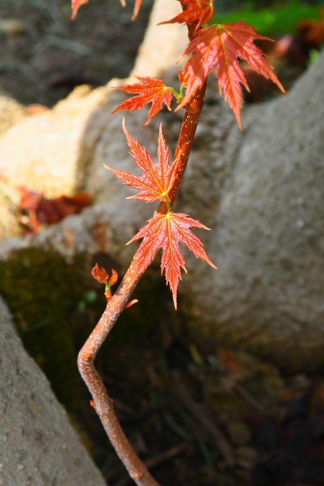 WOODWARD PARK Updated September 2024 14 Photos 5147 Karl Rd