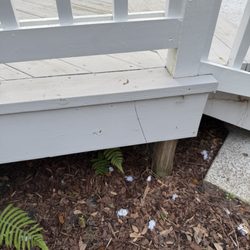 Blue & Gold Home Repair - Before new lattice installation