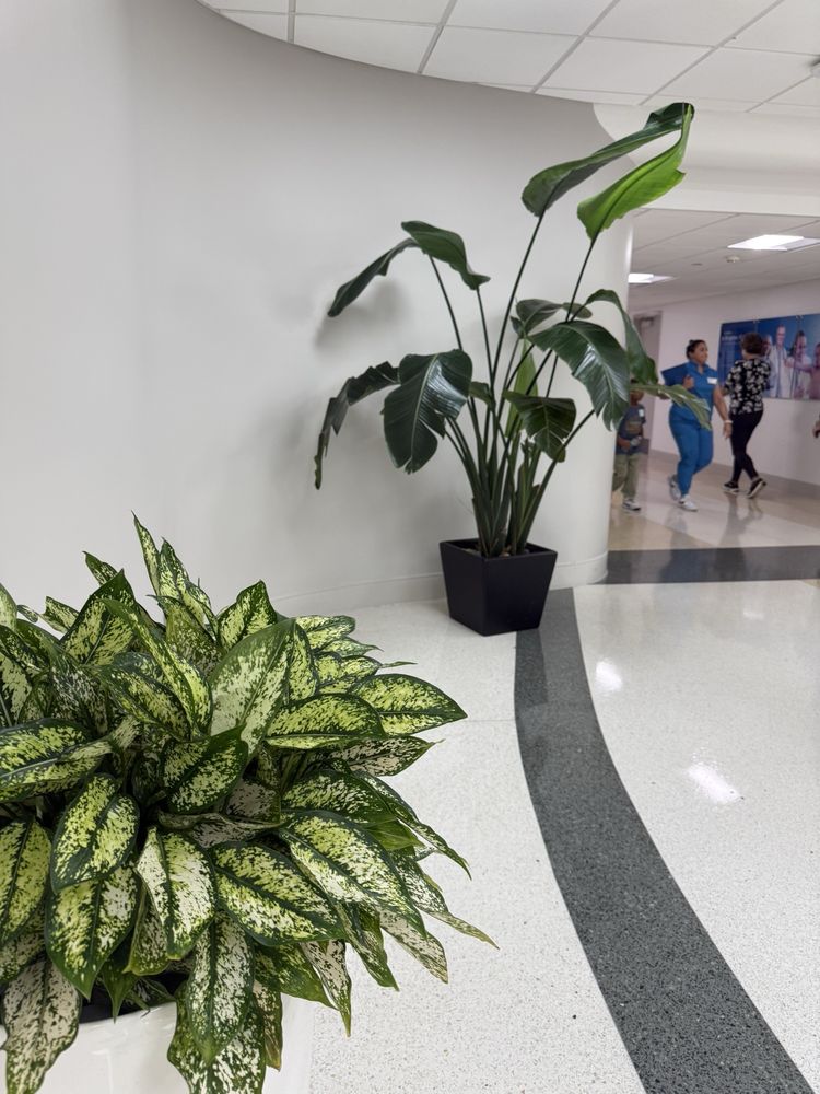 Jackson Memorial Hospital - patient advocate in Miami, FL