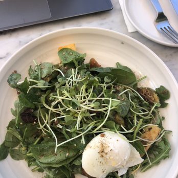 Parakeet Cafe - La Jolla - Coffee & Tea Near Me - La Jolla, California