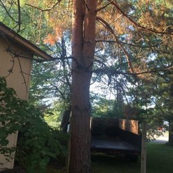 Curtis Point Tree Service