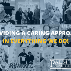 Palm City Nursing and Rehab Center