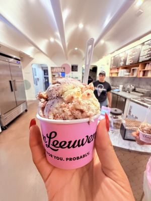 Van Leeuwen Ice Cream by null