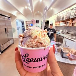Van Leeuwen Ice Cream - Arts District - Marionberry Cheesecake