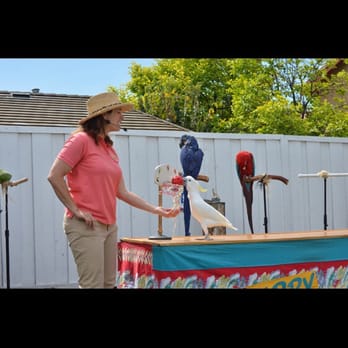 Happy Birds - Party & Event Planning Near Me