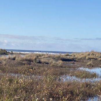 Breakwater Resort - This was the path to the beach. Inaccessible. - Resorts Near Me - Grayland, Washington