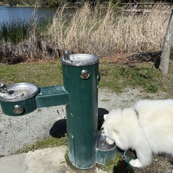 Vasona Lake County Park - Drinking water fountain with basin for dogs - Parks Near Me - Los Gatos, California Vasona Lake County Park - Drinking water fountain with basin for dogs - Parks Near Me - Los Gatos, California