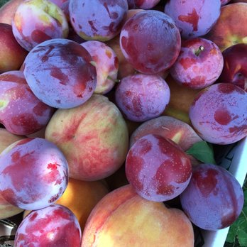 Linvilla Orchards - Box of Yum - Farmers Market Near Me - Media, Pennsylvania