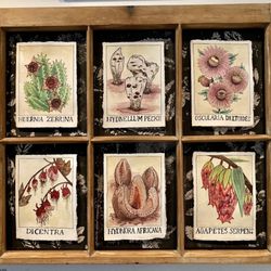 Archive Books And Snackery - Art