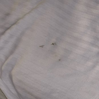 Cannery Row Inn - Boogers on bed. (Sheets) - Hotels Near Me - Monterey, California