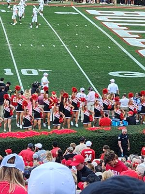 Sanford Stadium by null