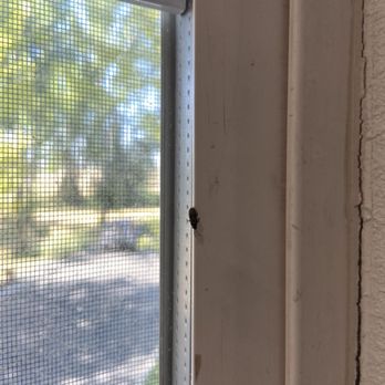 Motel 6 - Meridian - Box Elder bugs want out of this place as bad as you do. - Hotels Near Me - Meridian, Idaho Motel 6 - Meridian - Box Elder bugs want out of this place as bad as you do. - Hotels Near Me - Meridian, Idaho