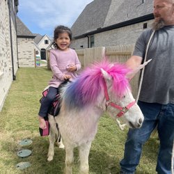 Sweetie Pies Petting Zoo - Two unicorns and a petting zoo will make any birthday special