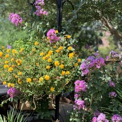 Green Meadow Landscaping