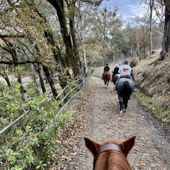 Chalk Hill Ranch - Horse Boarding Near Me - Healdsburg, California
