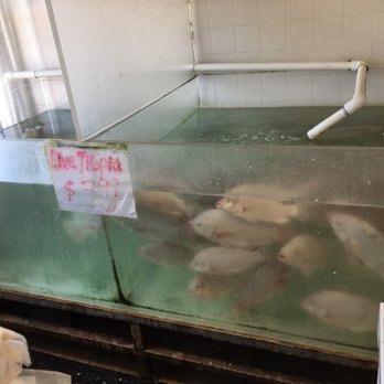 235 Fish Market - Live Tilapia ;) - Seafood Markets Near Me - Jersey City, New Jersey
