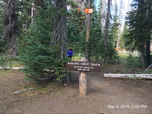 Mazama Village Campground & Cabins by null