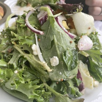 Aioli - Roasted Golden Beet - Cafes Near Me - West Palm Beach, Florida Aioli - Roasted Golden Beet - Cafes Near Me - West Palm Beach, Florida