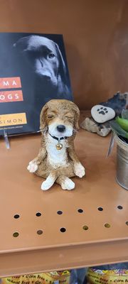 Rainbow Bridge Natural Food by null