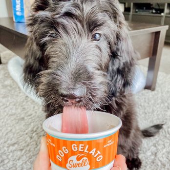 Mud Bay - Ice cream - Pet Stores Near Me - Seattle, Washington Mud Bay - Ice cream - Pet Stores Near Me - Seattle, Washington
