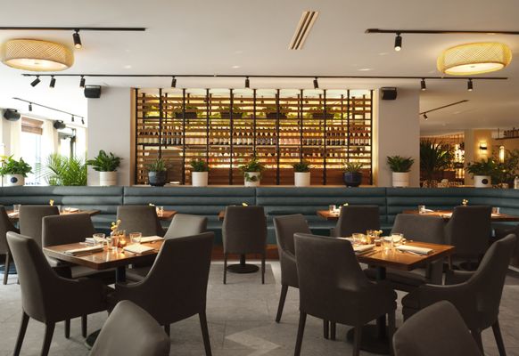 Corinne San Antonio by null